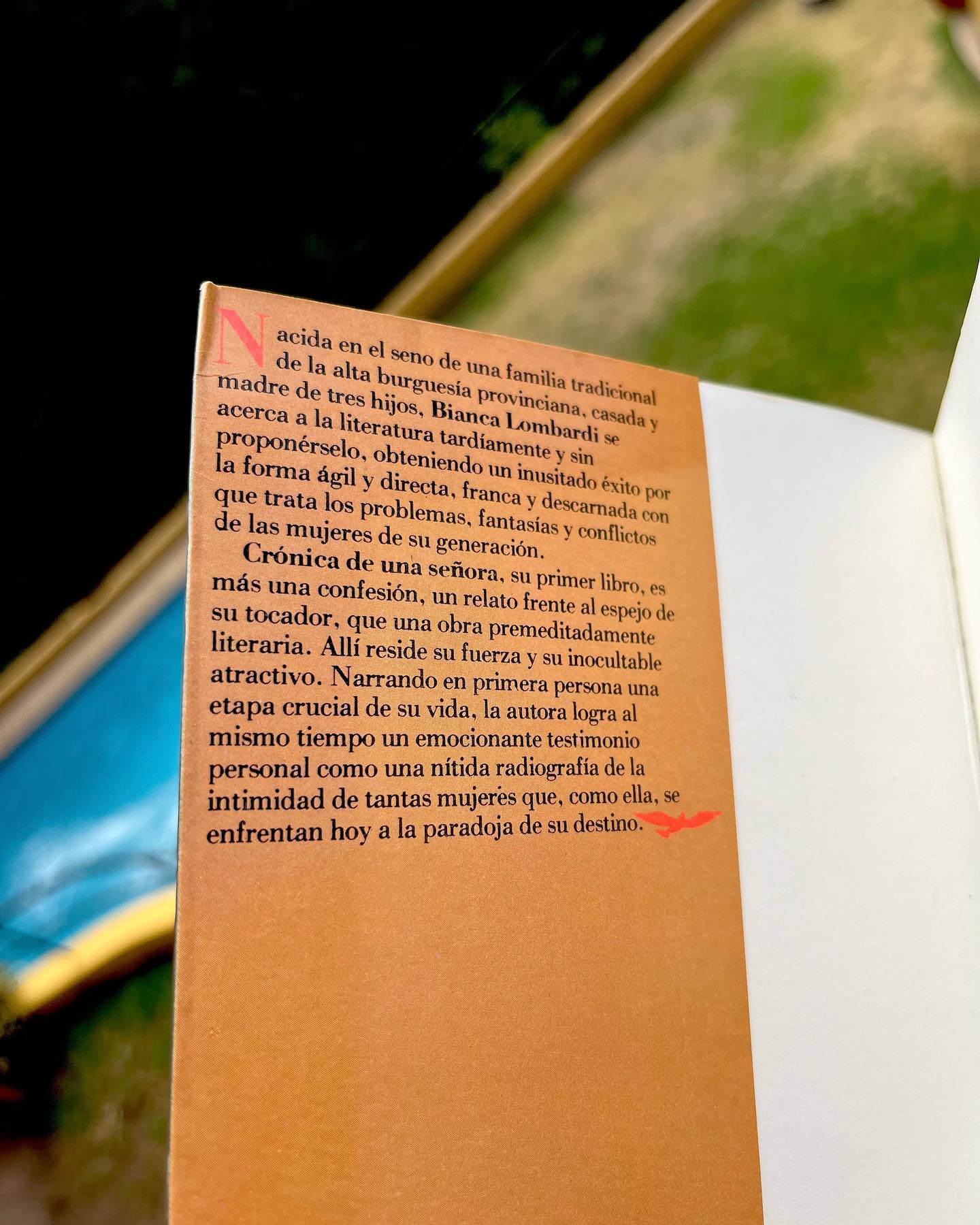 Crónica de una señora - Imagen 3
