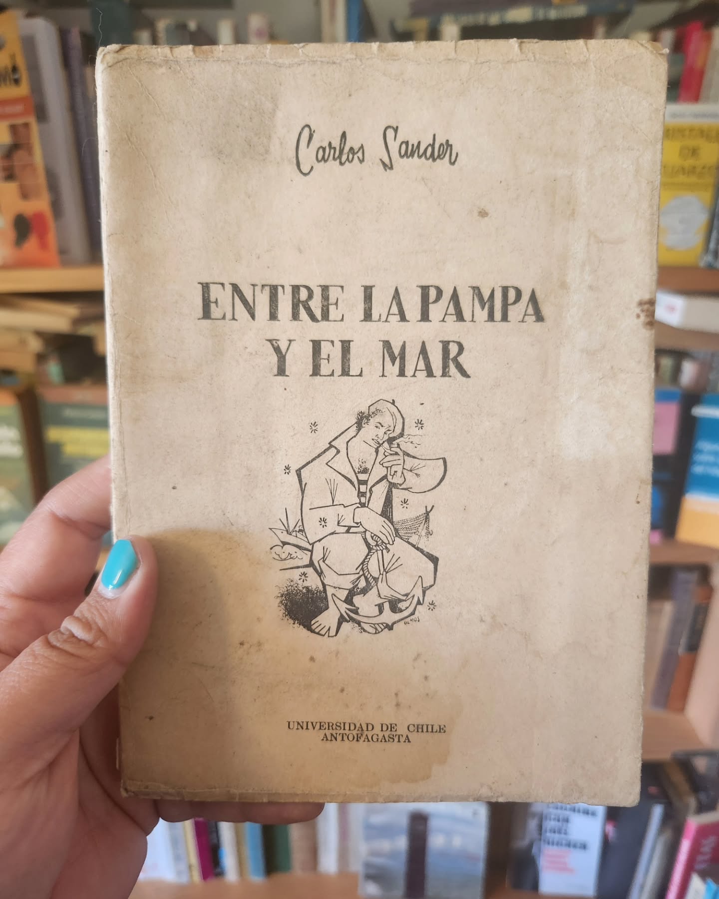 Entre la Pampa y el mar