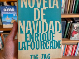 Novela de navidad