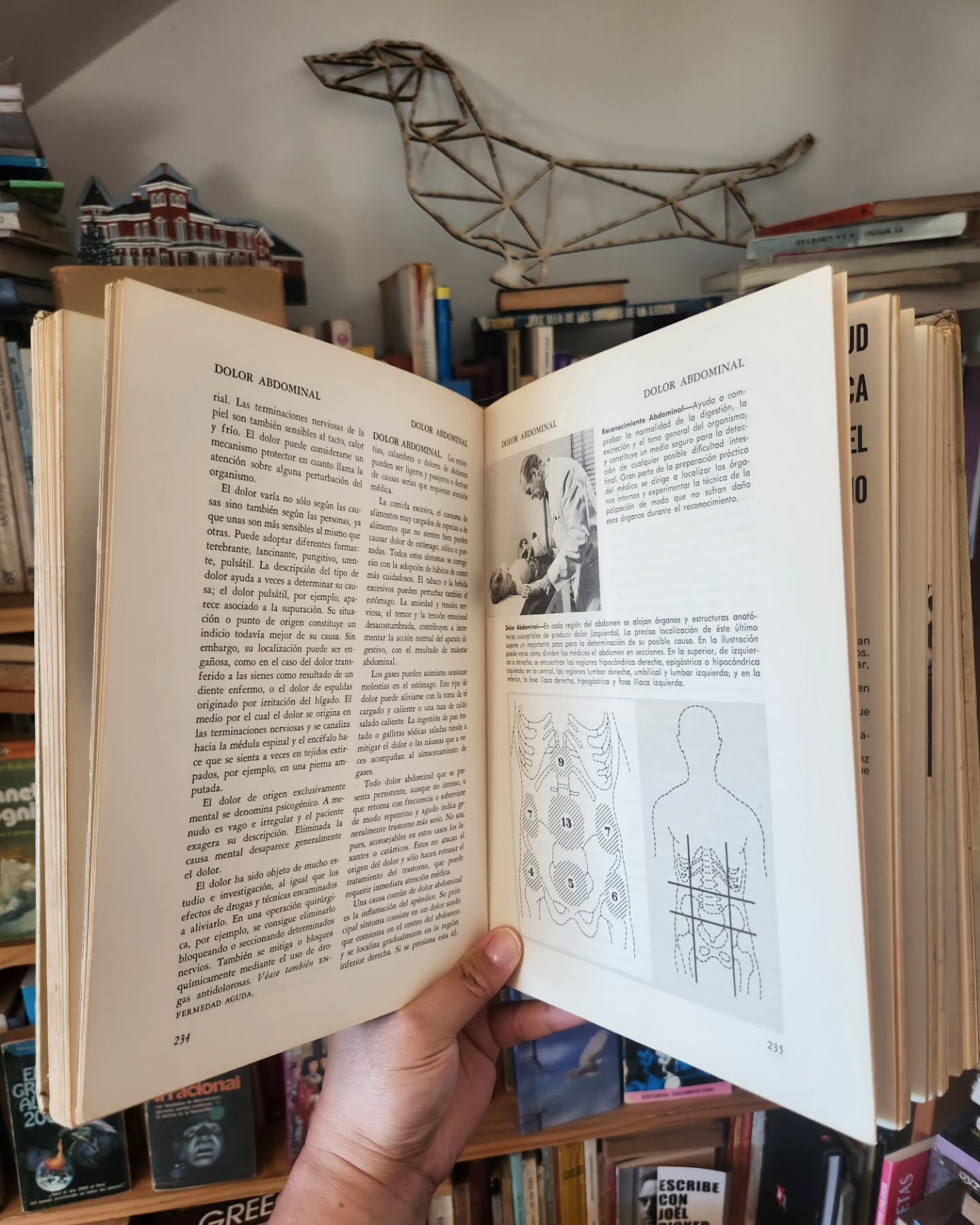 Enciclopedia Familiar de la Medicina y la Salud - Imagen 4