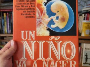 Un niño va a nacer