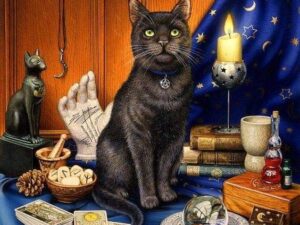 Categorías - Libros Frannie