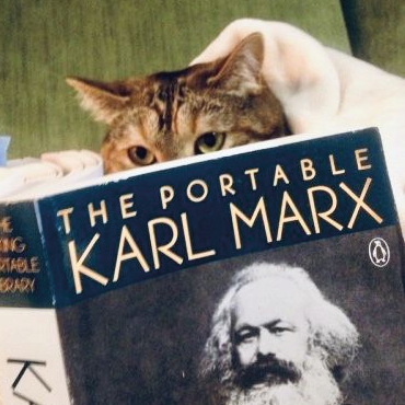 Política