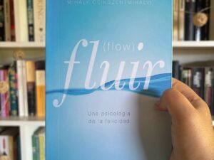 Fluir (flow)