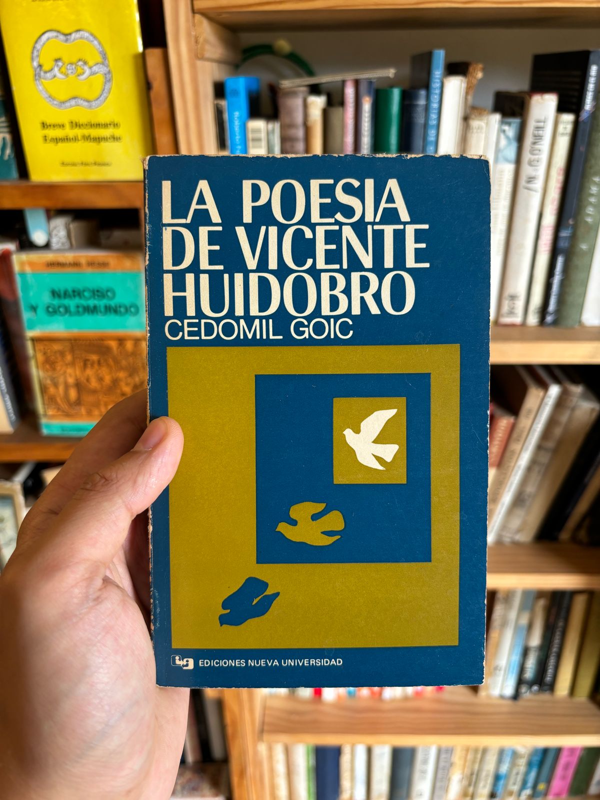 La poesía de Vicente Huidobro