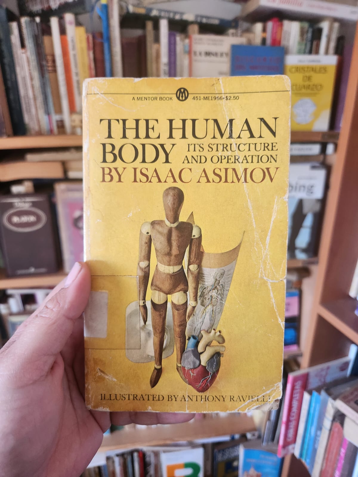 The Human Body: Its Structure and Operation