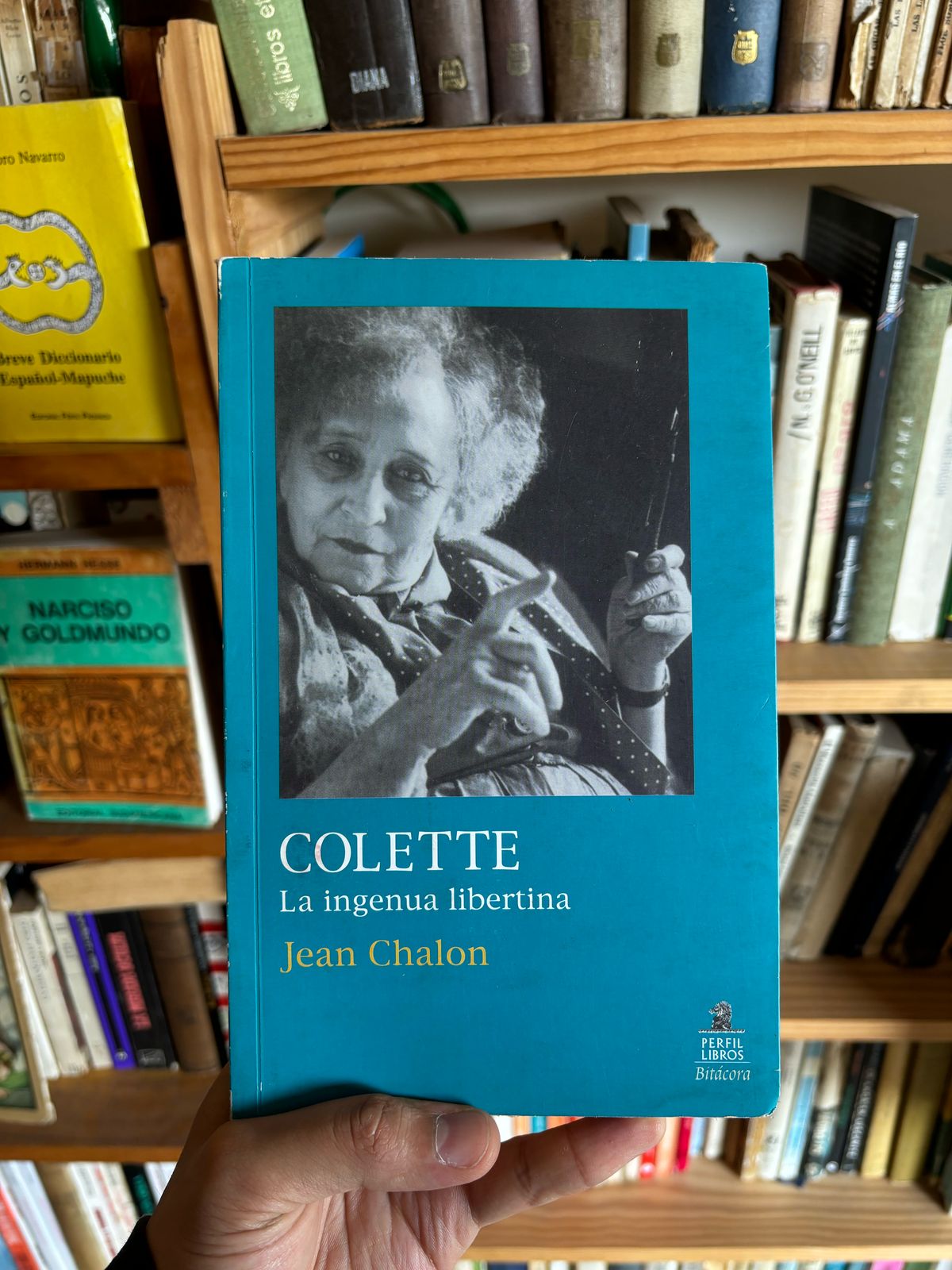 Colette, La ingenua libertina