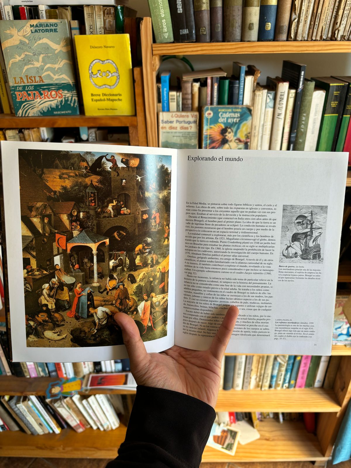 Pieter Bruegel - Imagen 4