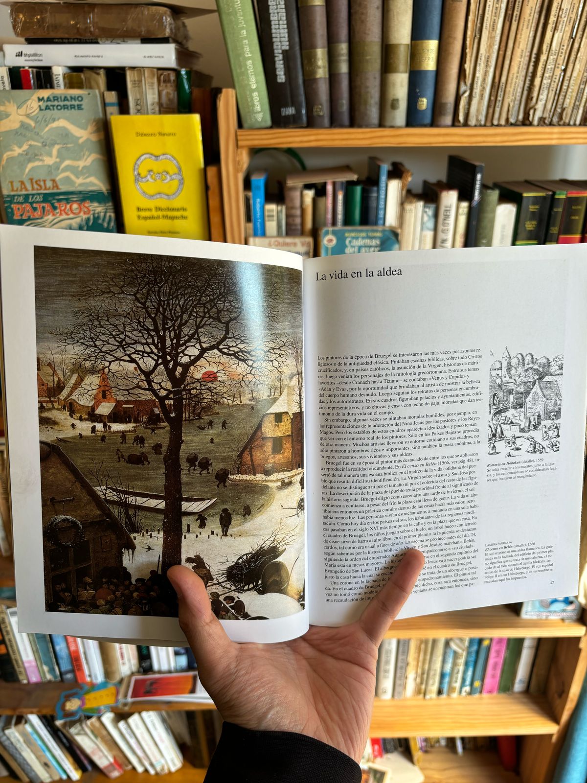 Pieter Bruegel - Imagen 3