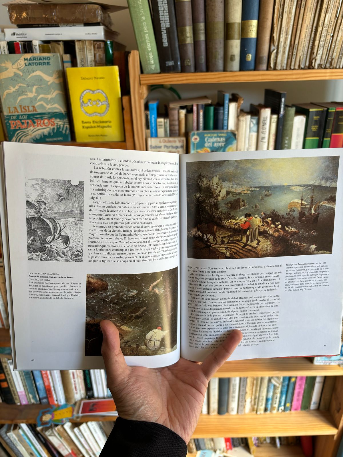 Pieter Bruegel - Imagen 2