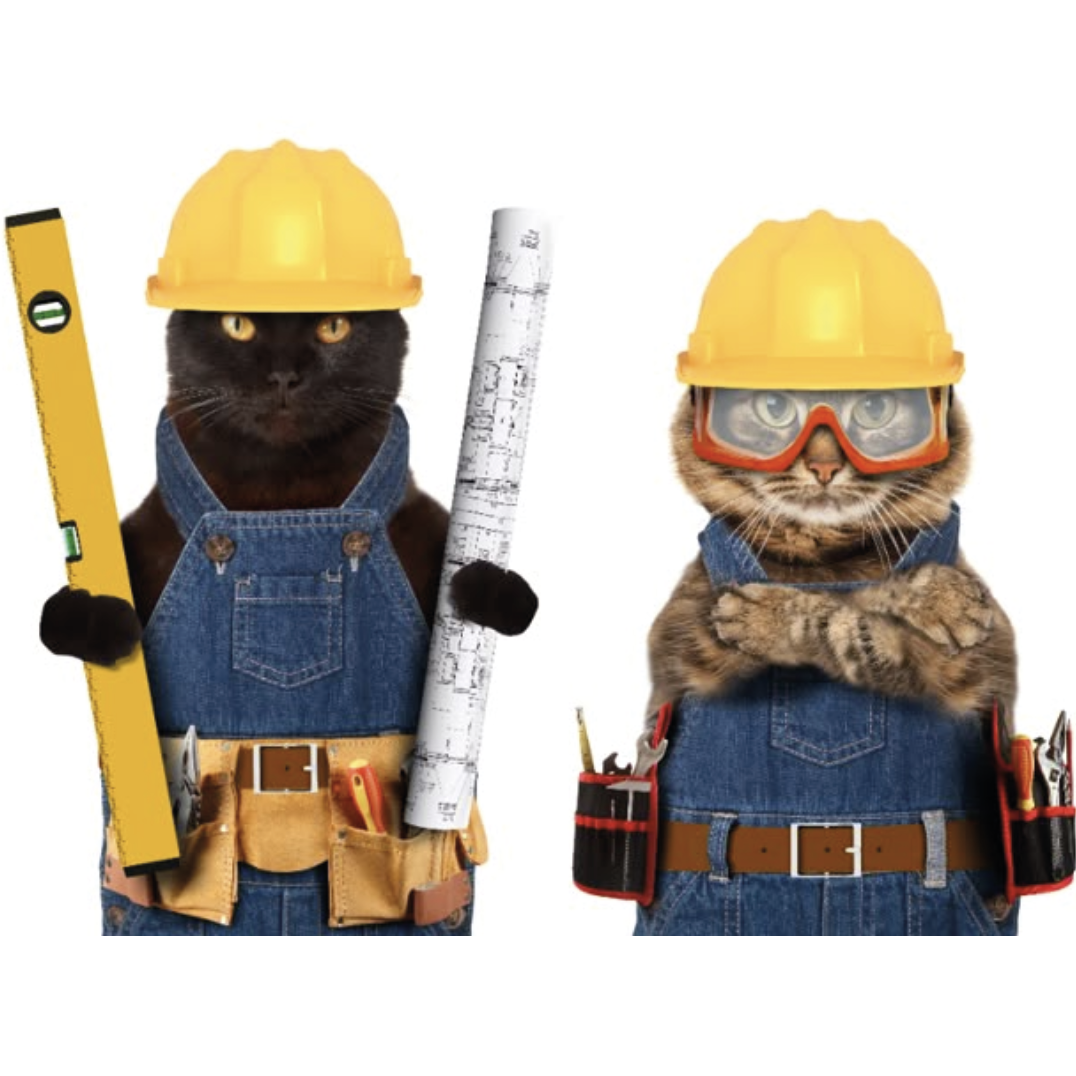 Técnico-Ingeniería