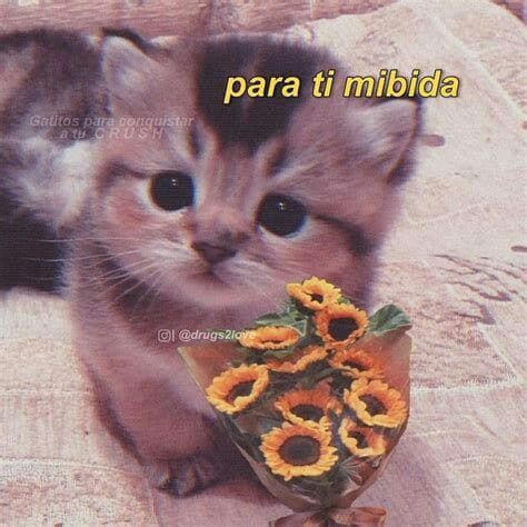 Poesía