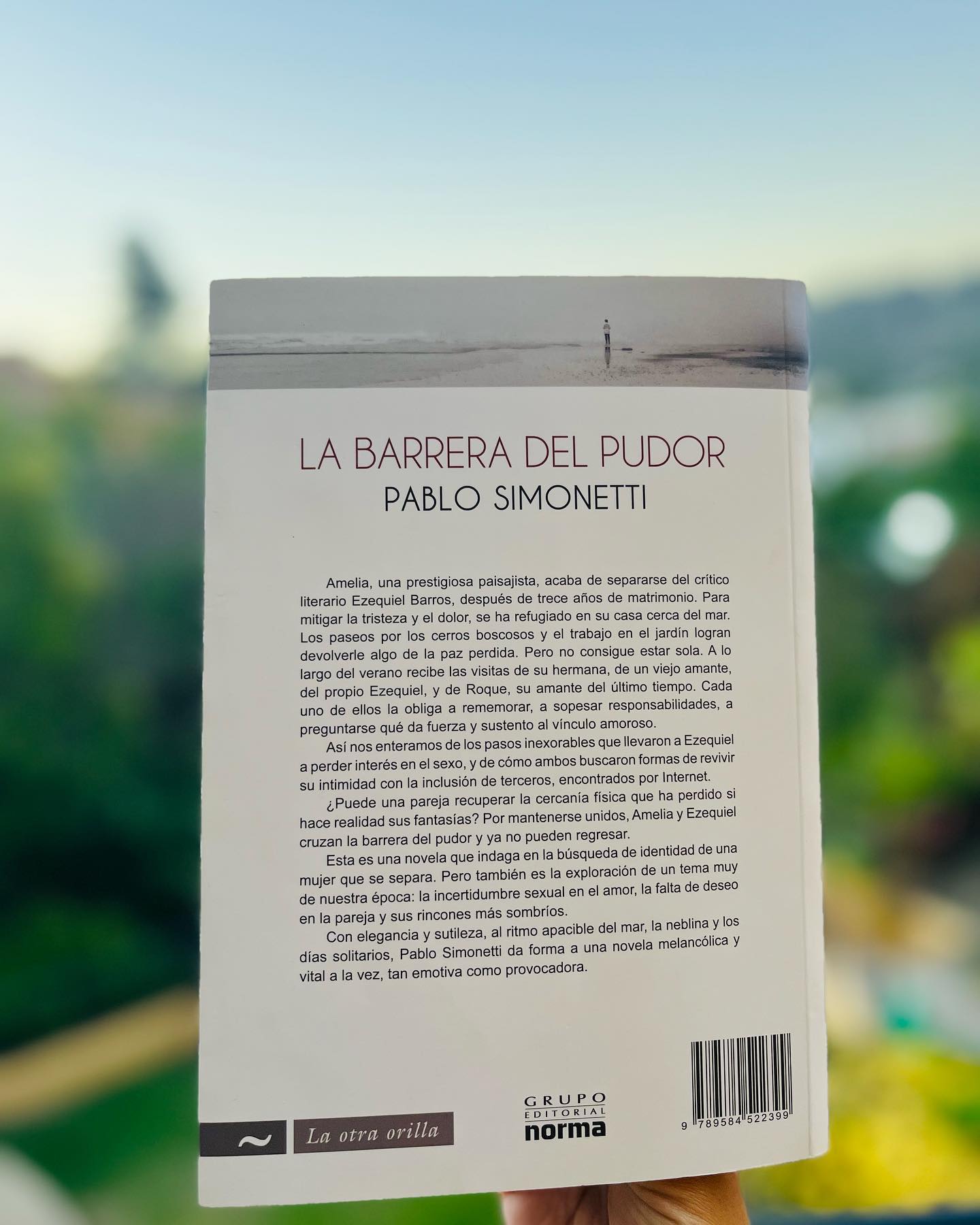 La barrera del pudor - Imagen 2