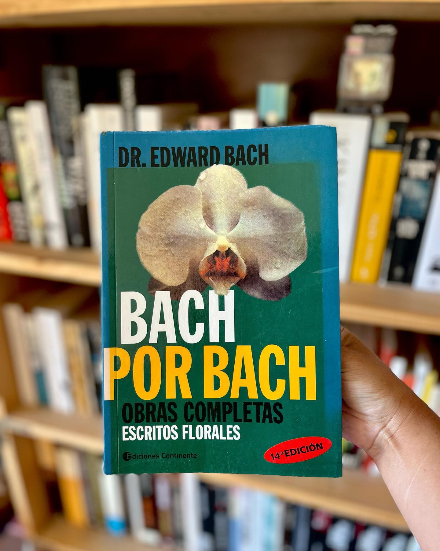 Bach por Bach