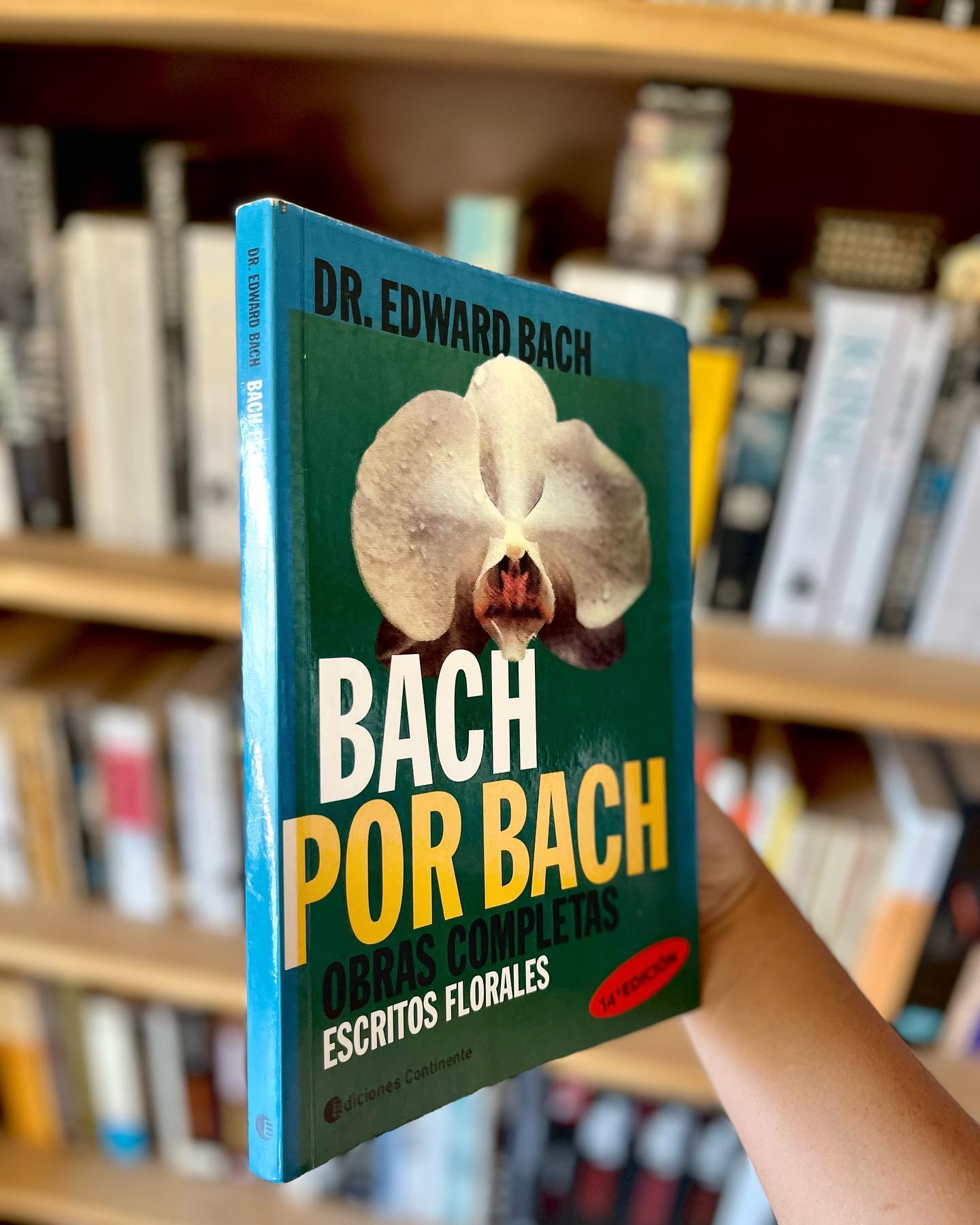 Bach por Bach - Imagen 3