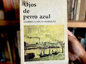 Ojos de perro Azul