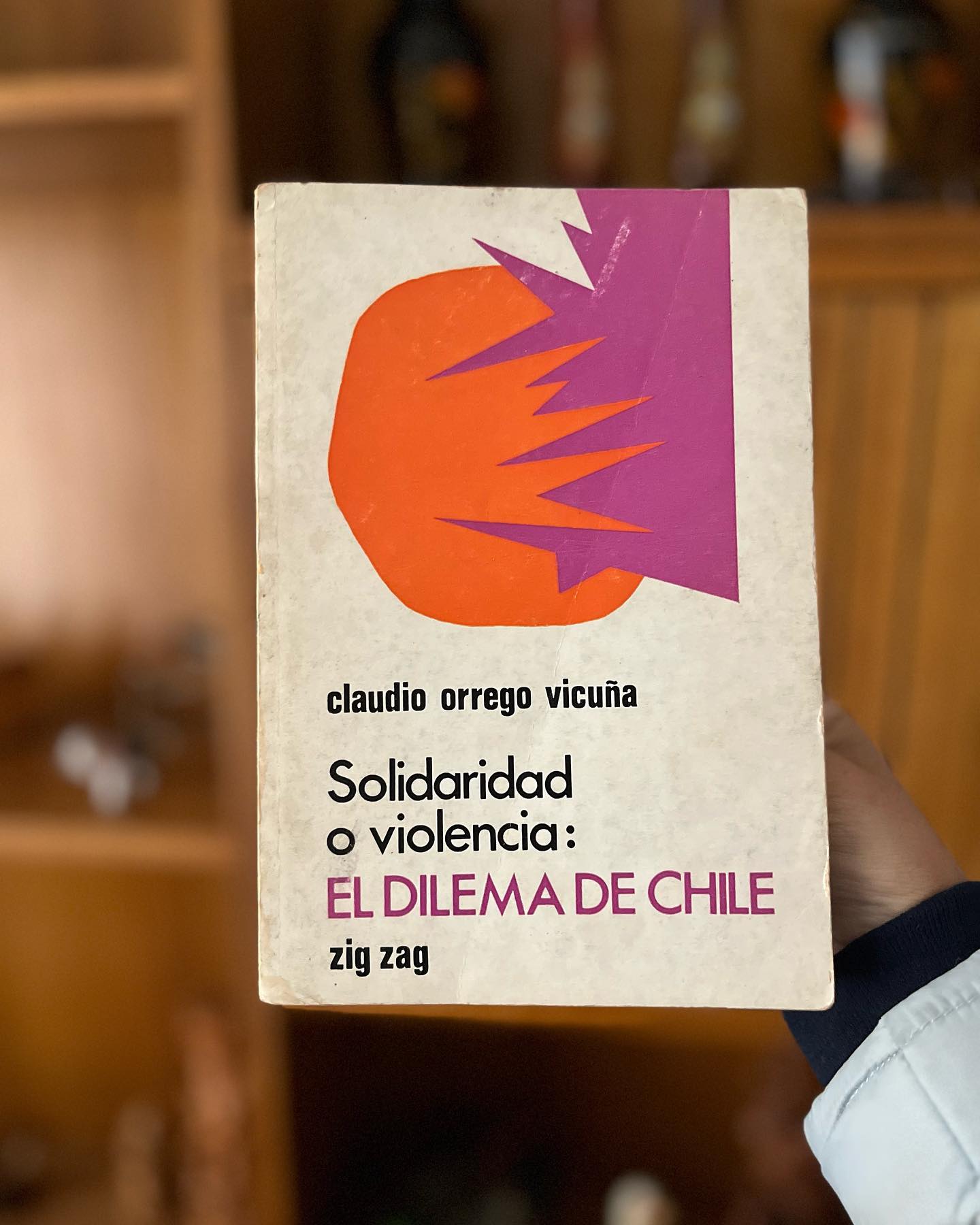 Solidaridad o violencia: el dilema de Chile