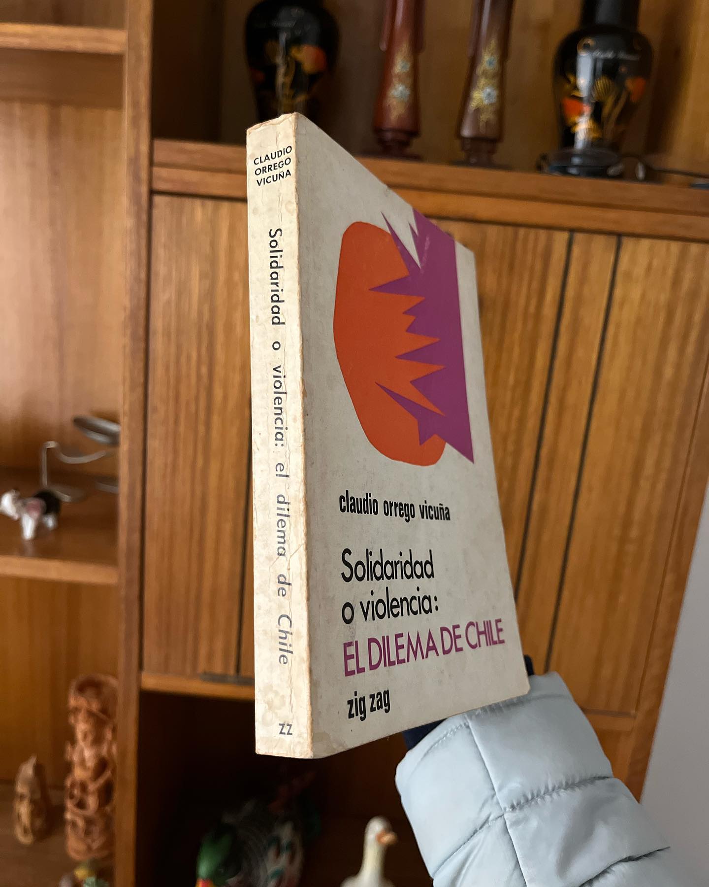 Solidaridad o violencia: el dilema de Chile - Imagen 2