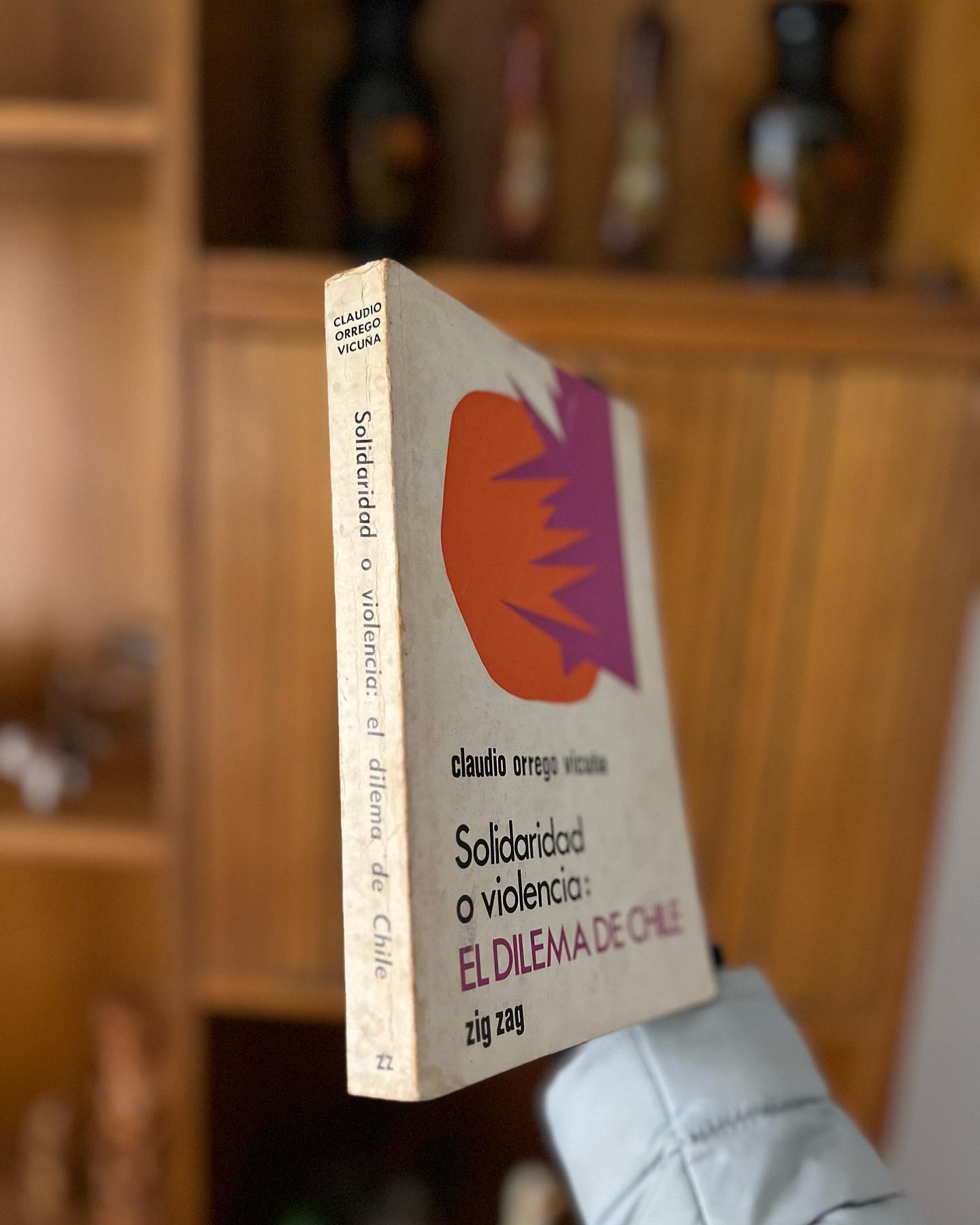 Solidaridad o violencia: el dilema de Chile - Imagen 3