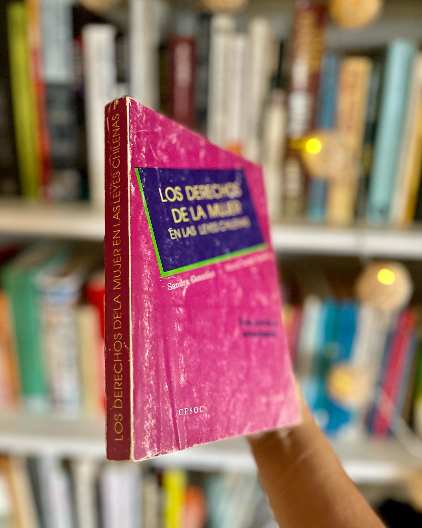 Los derechos de la mujer en las leyes chilenas - Imagen 2