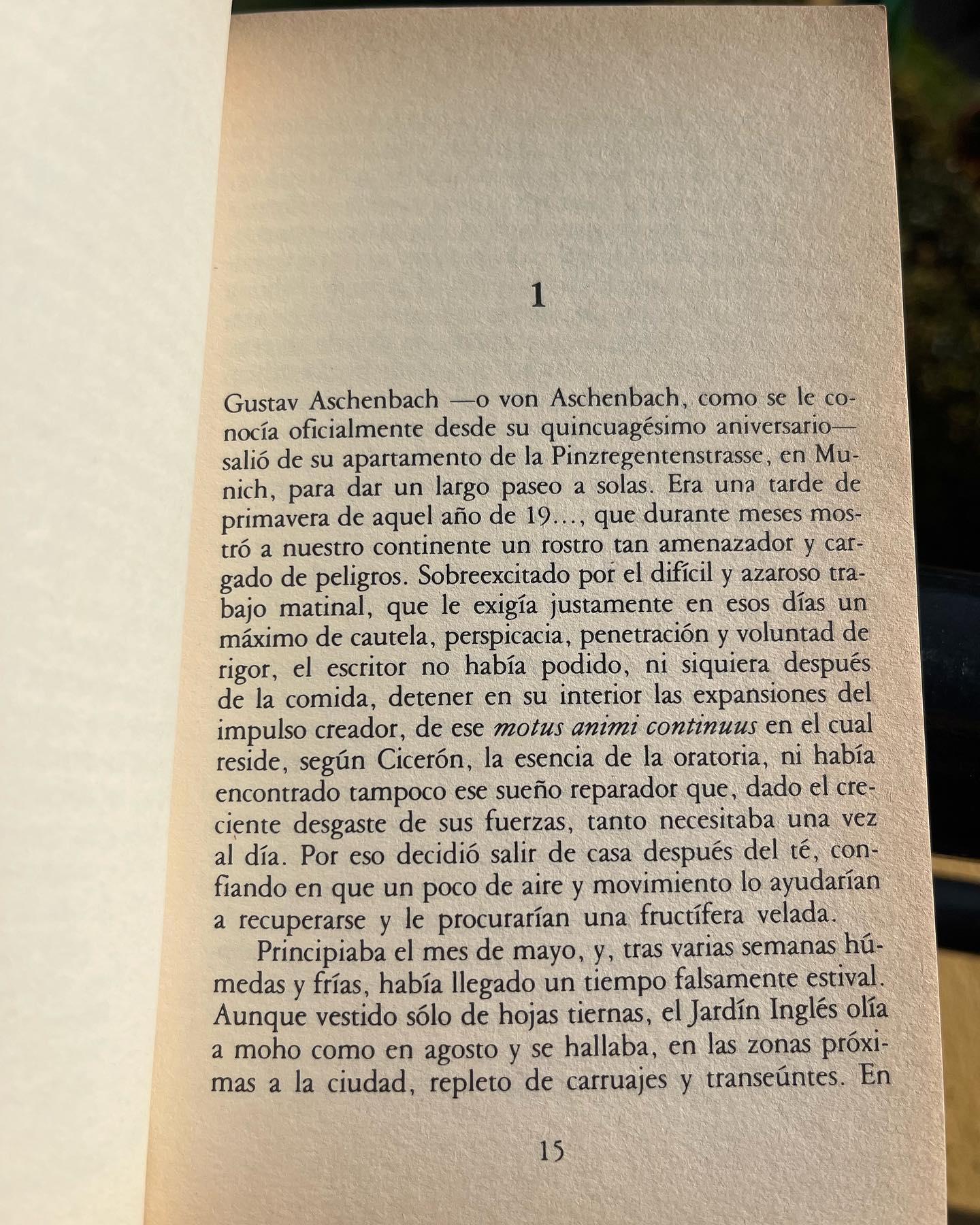 Muerte en Venecia - Imagen 5