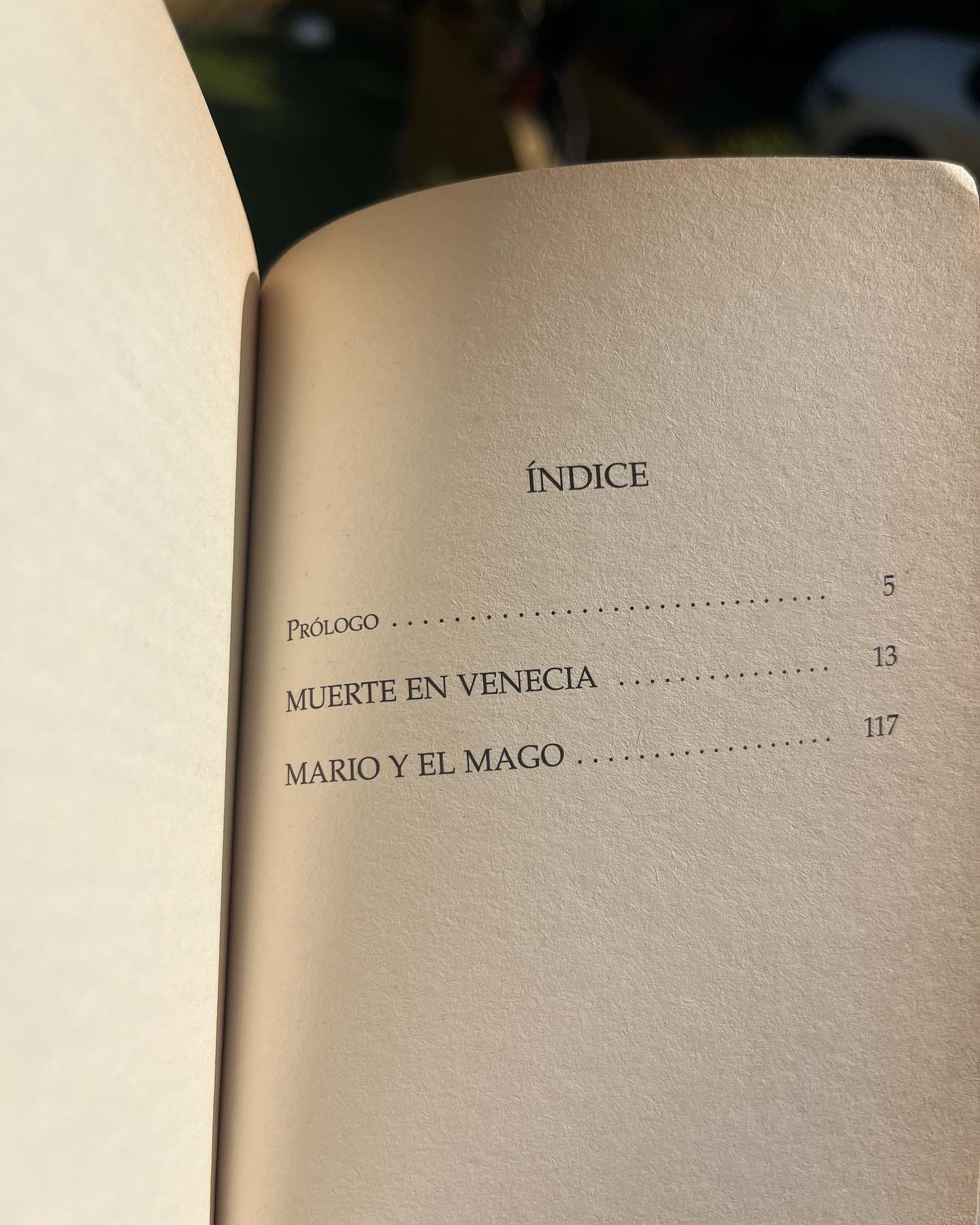 Muerte en Venecia - Imagen 4
