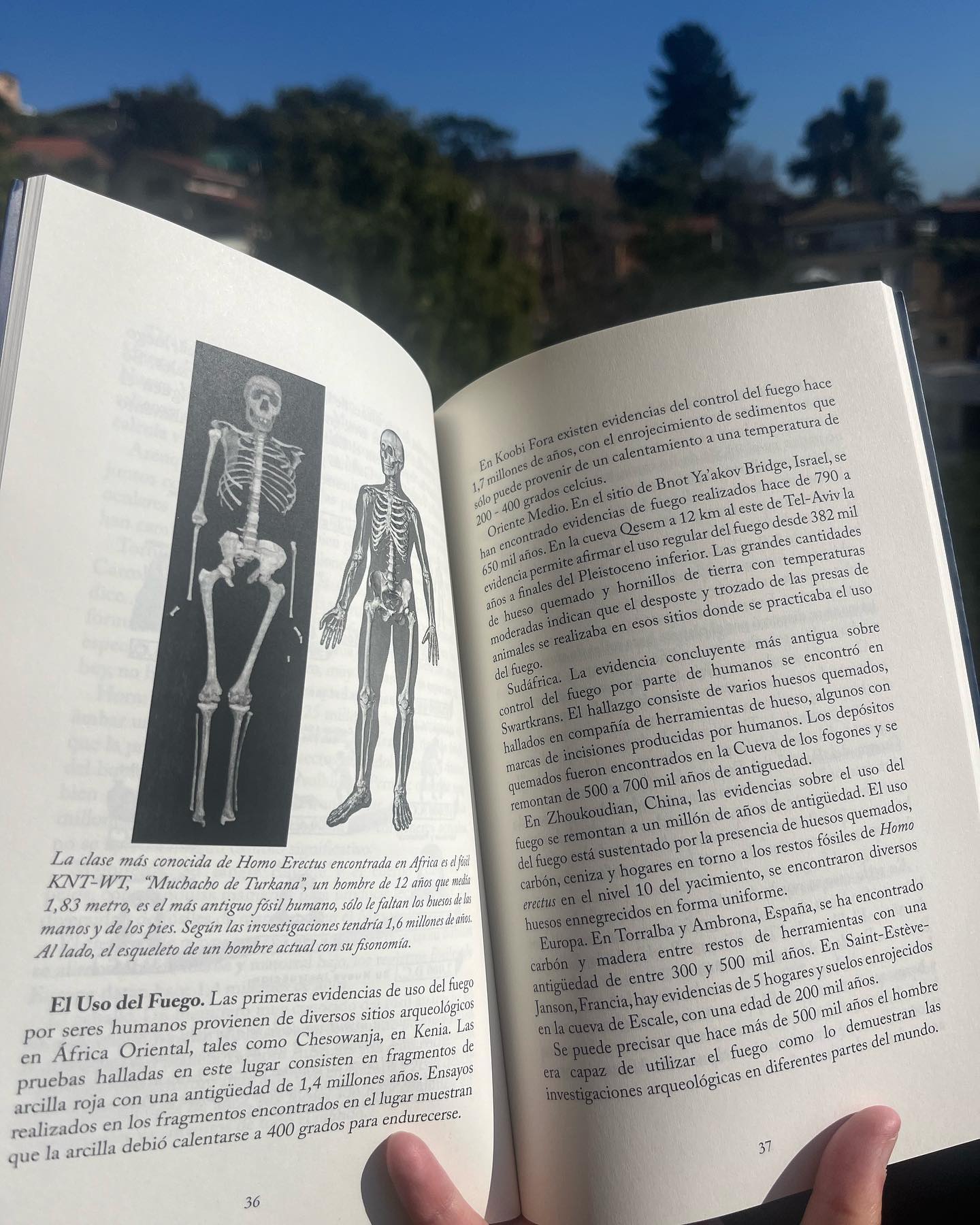 Dios de los judíos - Imagen 4