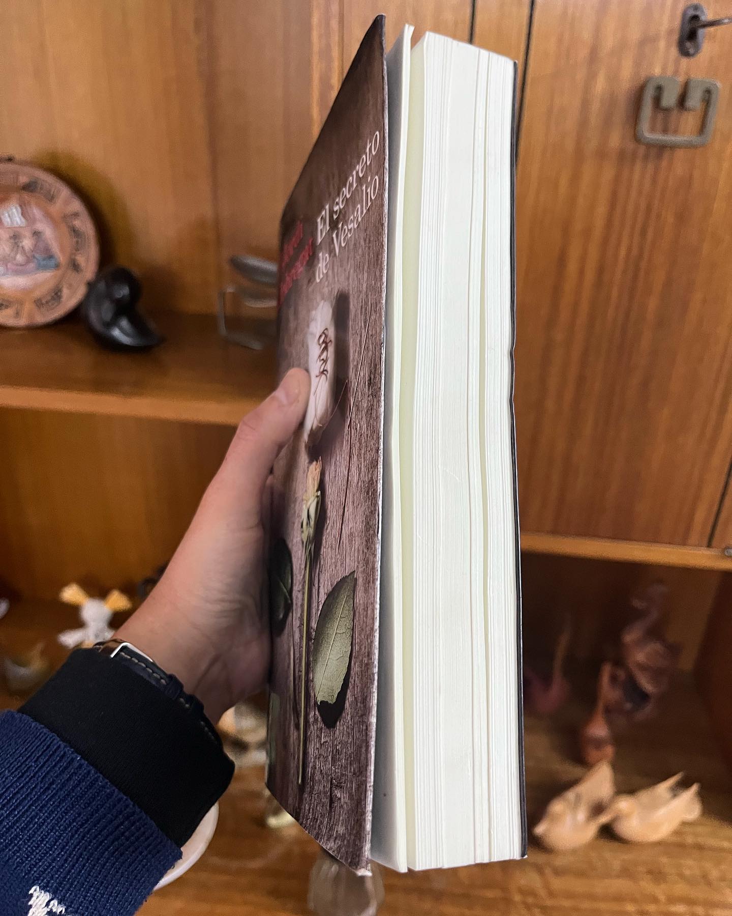 El secreto de Vesalio - Imagen 4