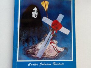 Carta de un idealista
