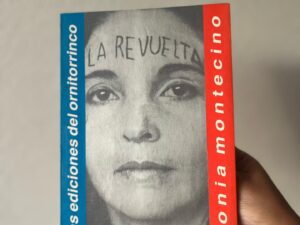 La revuelta