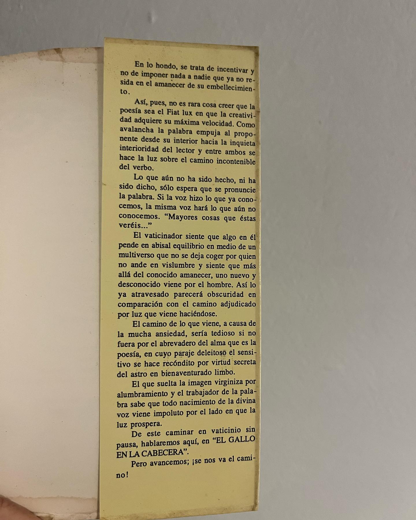 El gallo en la cabecera - Imagen 7