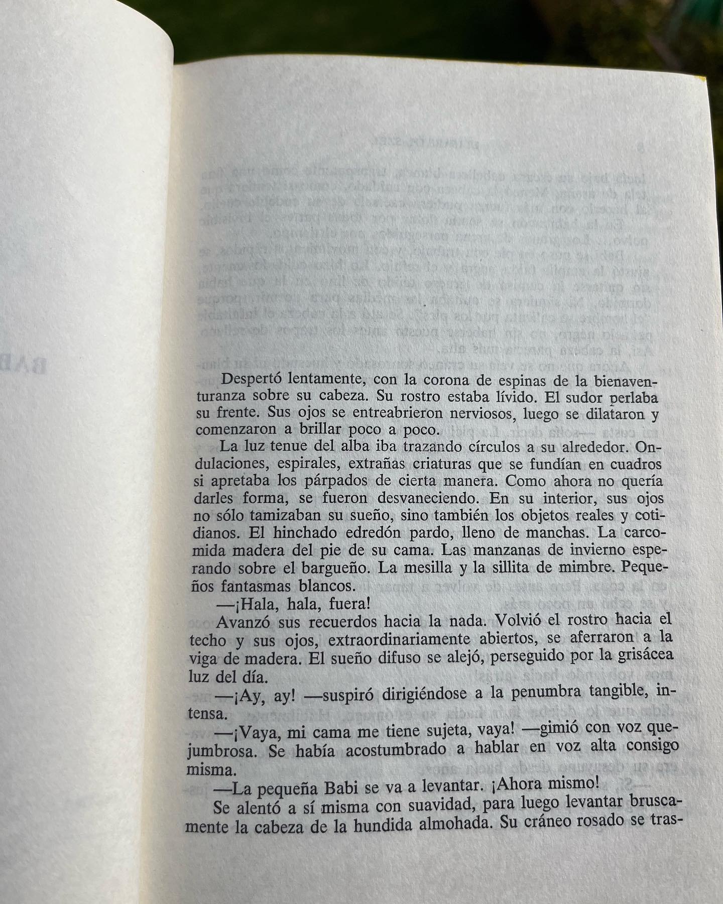 Prohibido nacer - Imagen 4