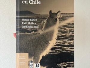 Las aguas indígenas en Chile