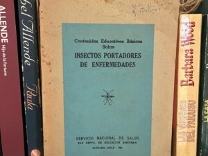 Insectos portadores de enfermedades