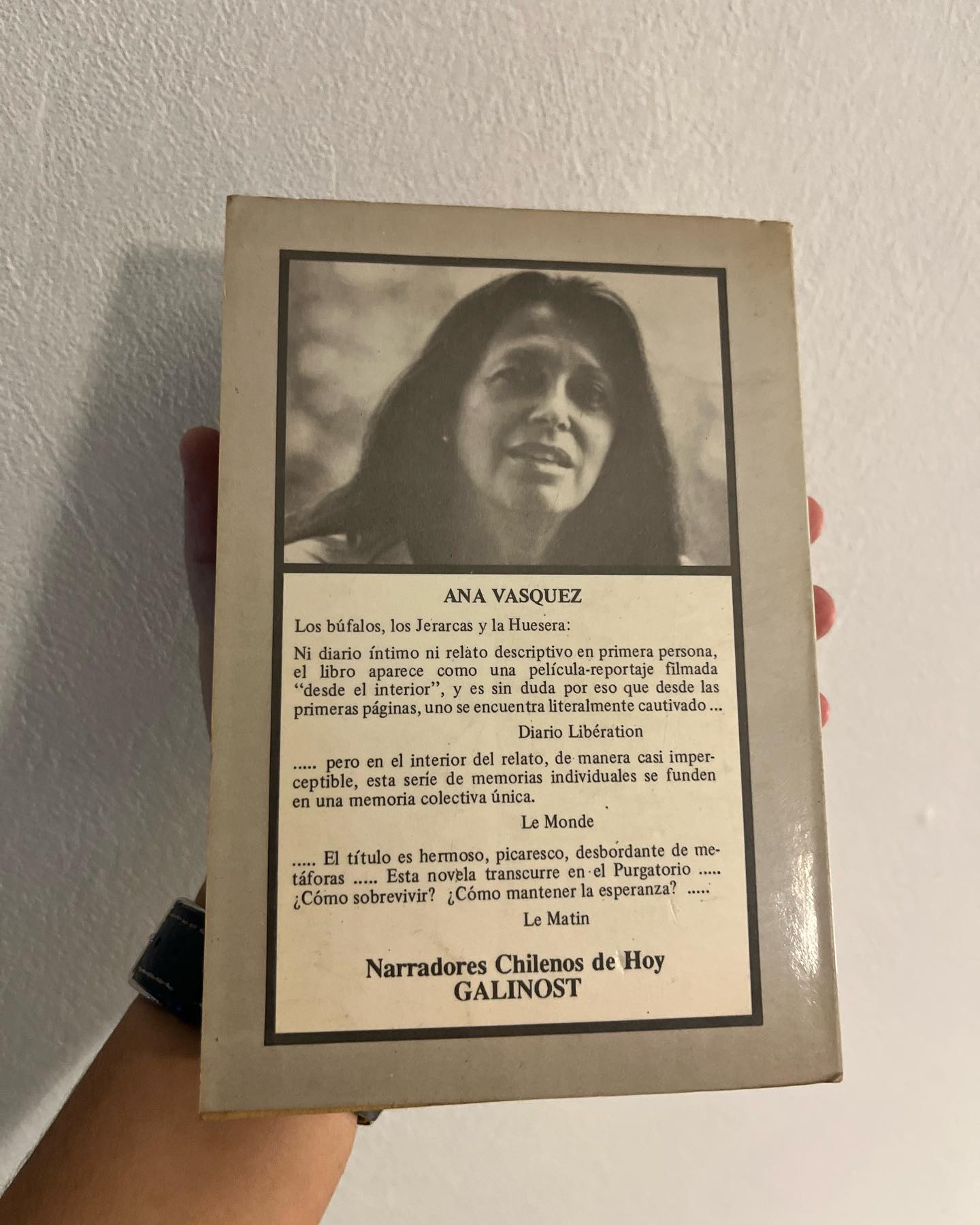 Los búfalos, Los Jerarcas y La Huesera - Imagen 6