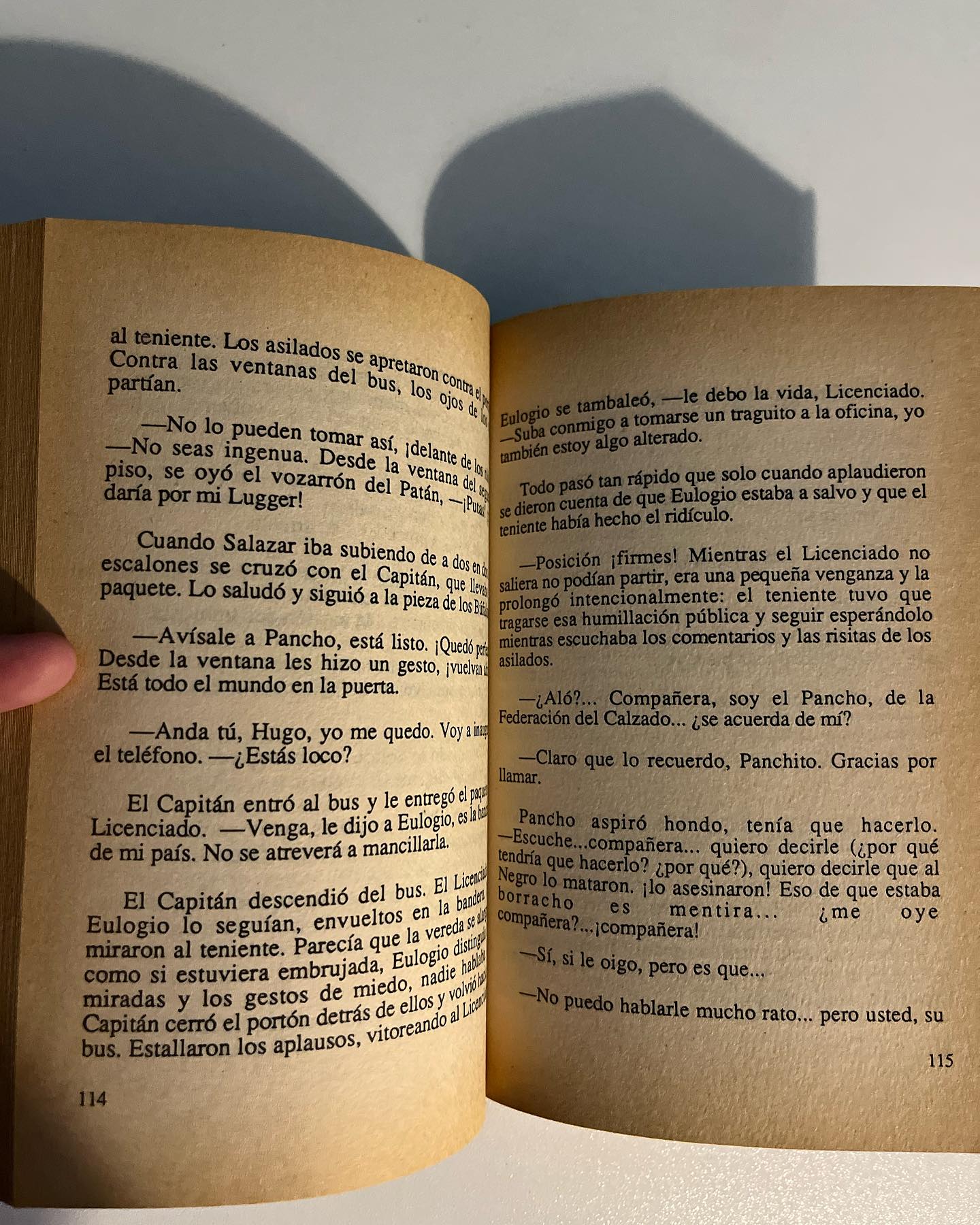 Los búfalos, Los Jerarcas y La Huesera - Imagen 4