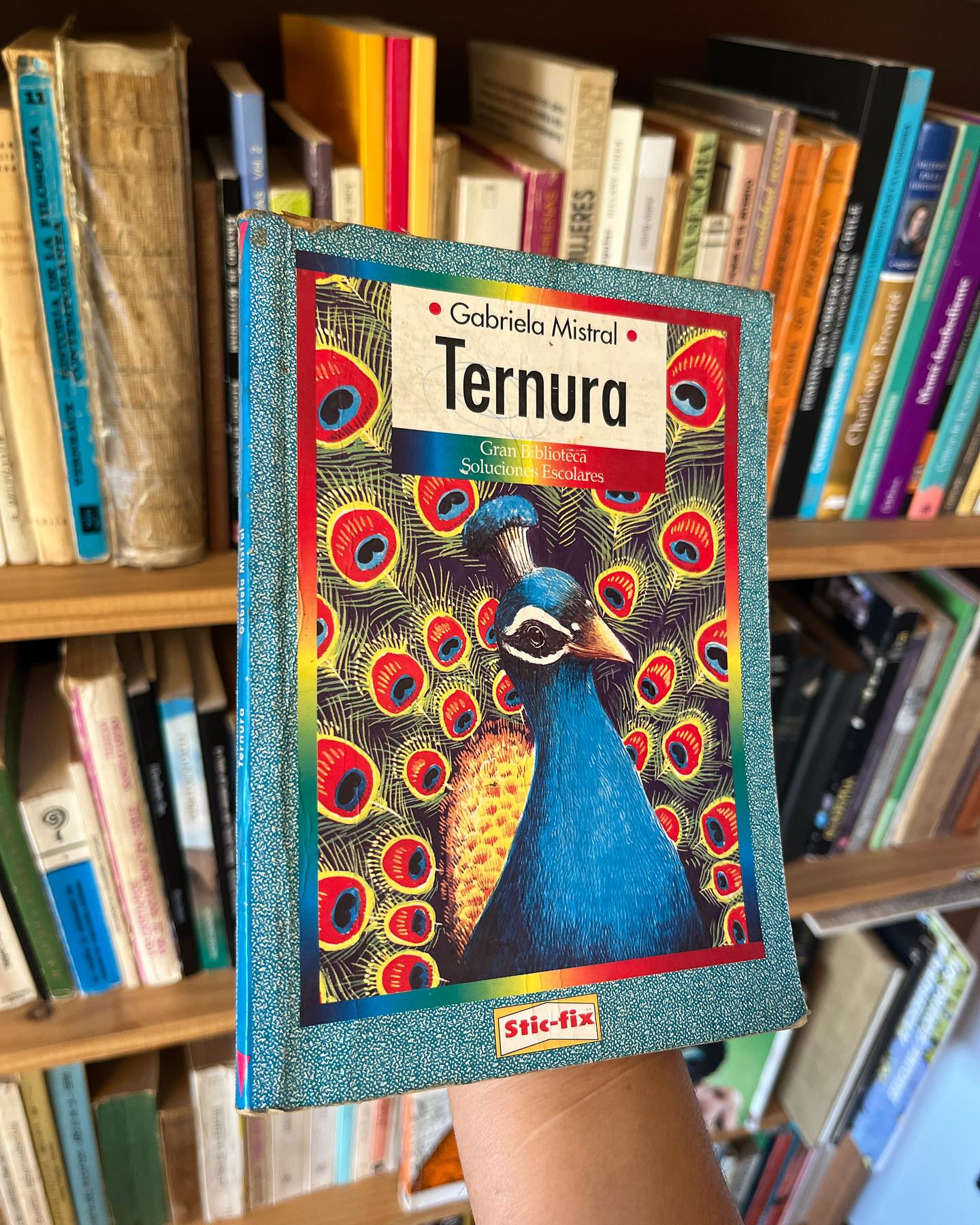 Ternura - Imagen 2