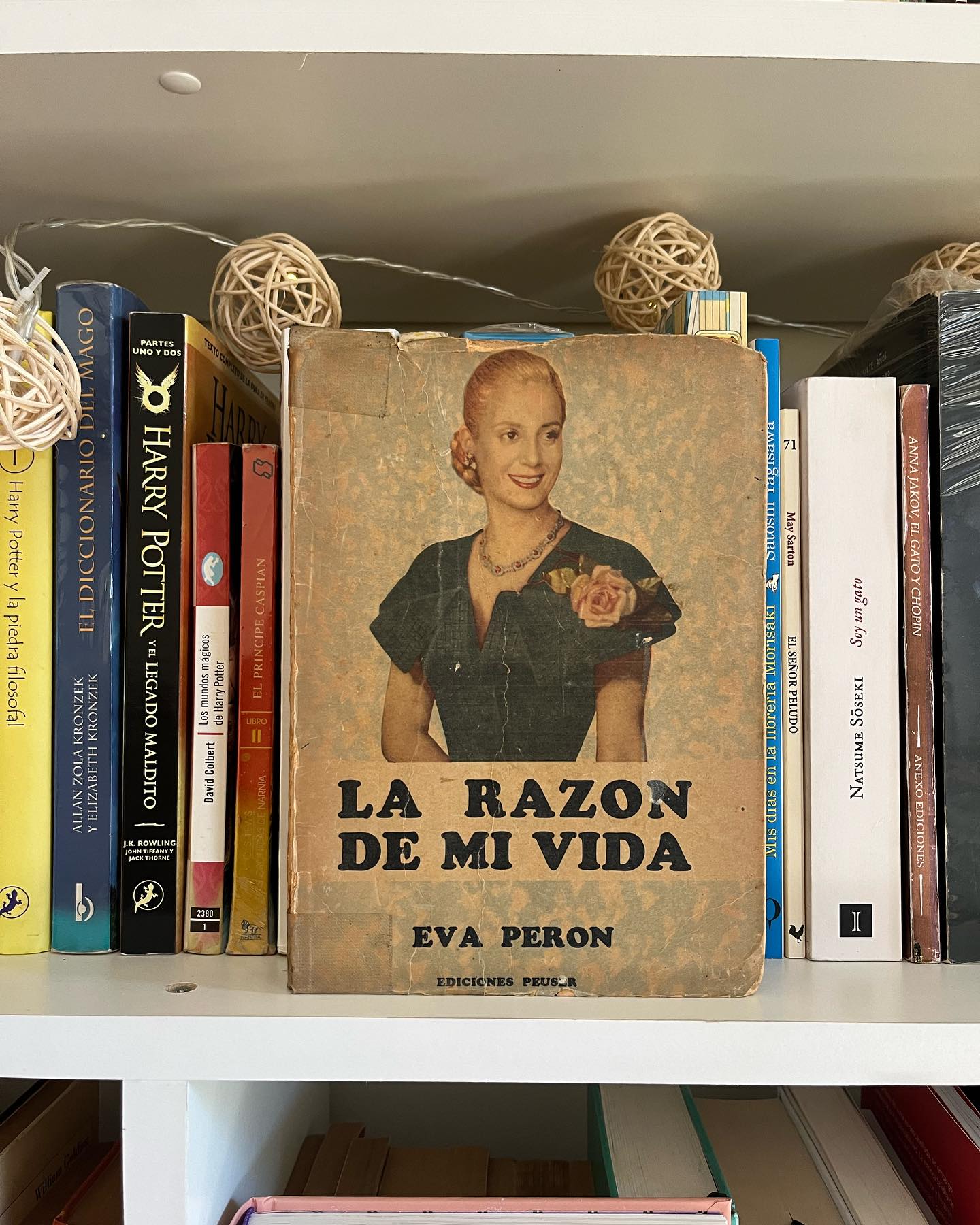 La razón de mi vida