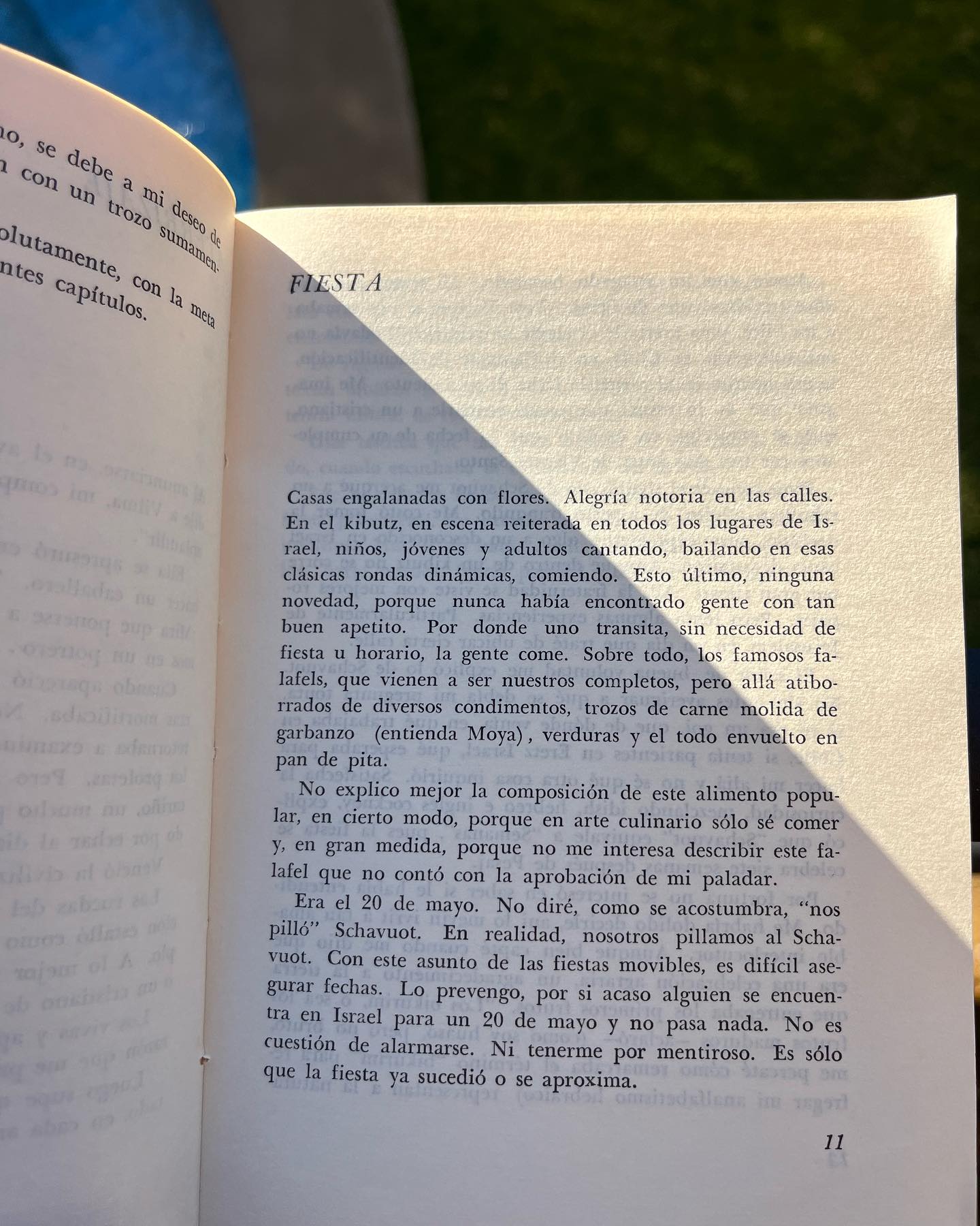 El huaso en el viejo mundo - Imagen 4