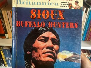 Sioux Buffalo Hunters