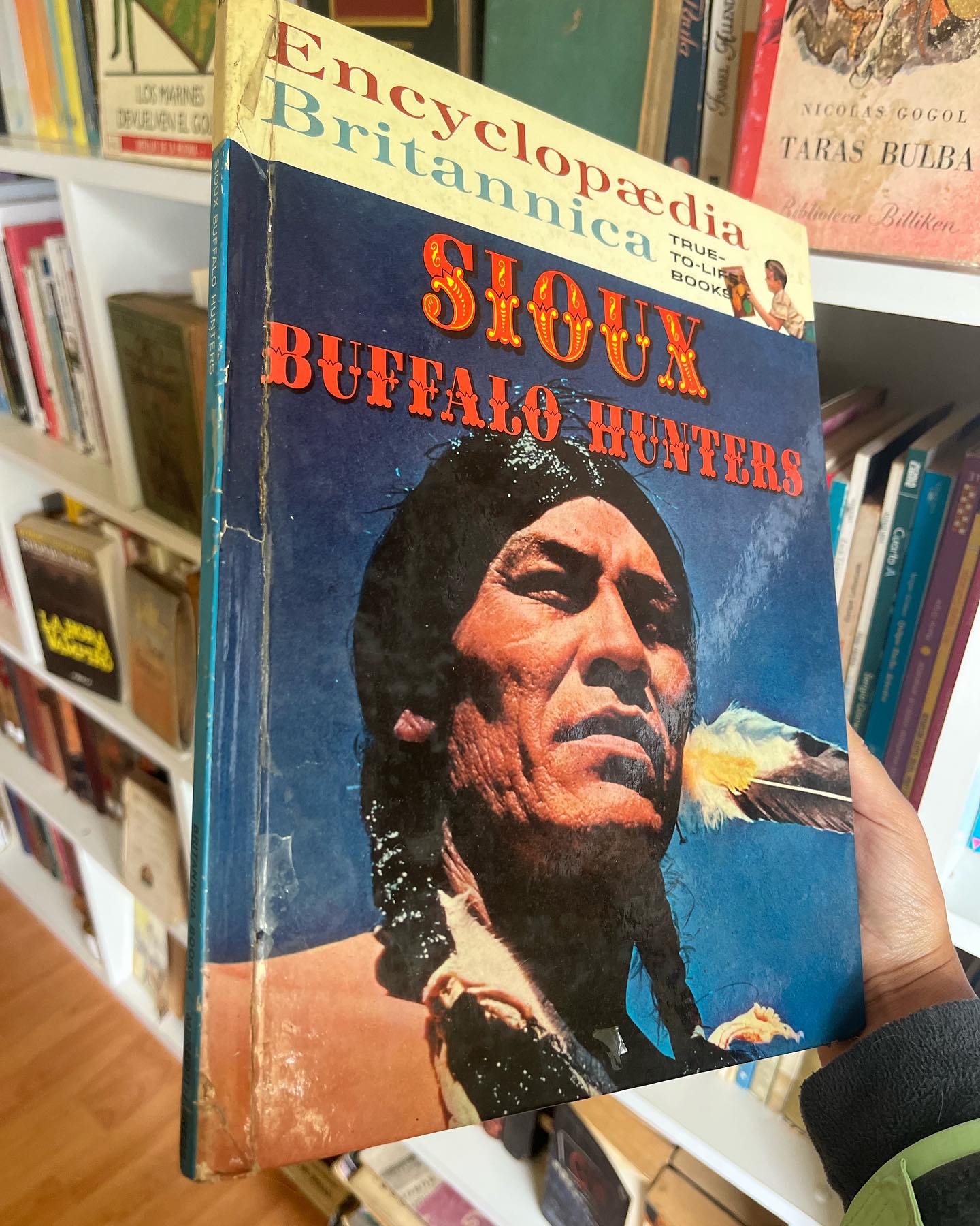 Sioux Buffalo Hunters - Imagen 2