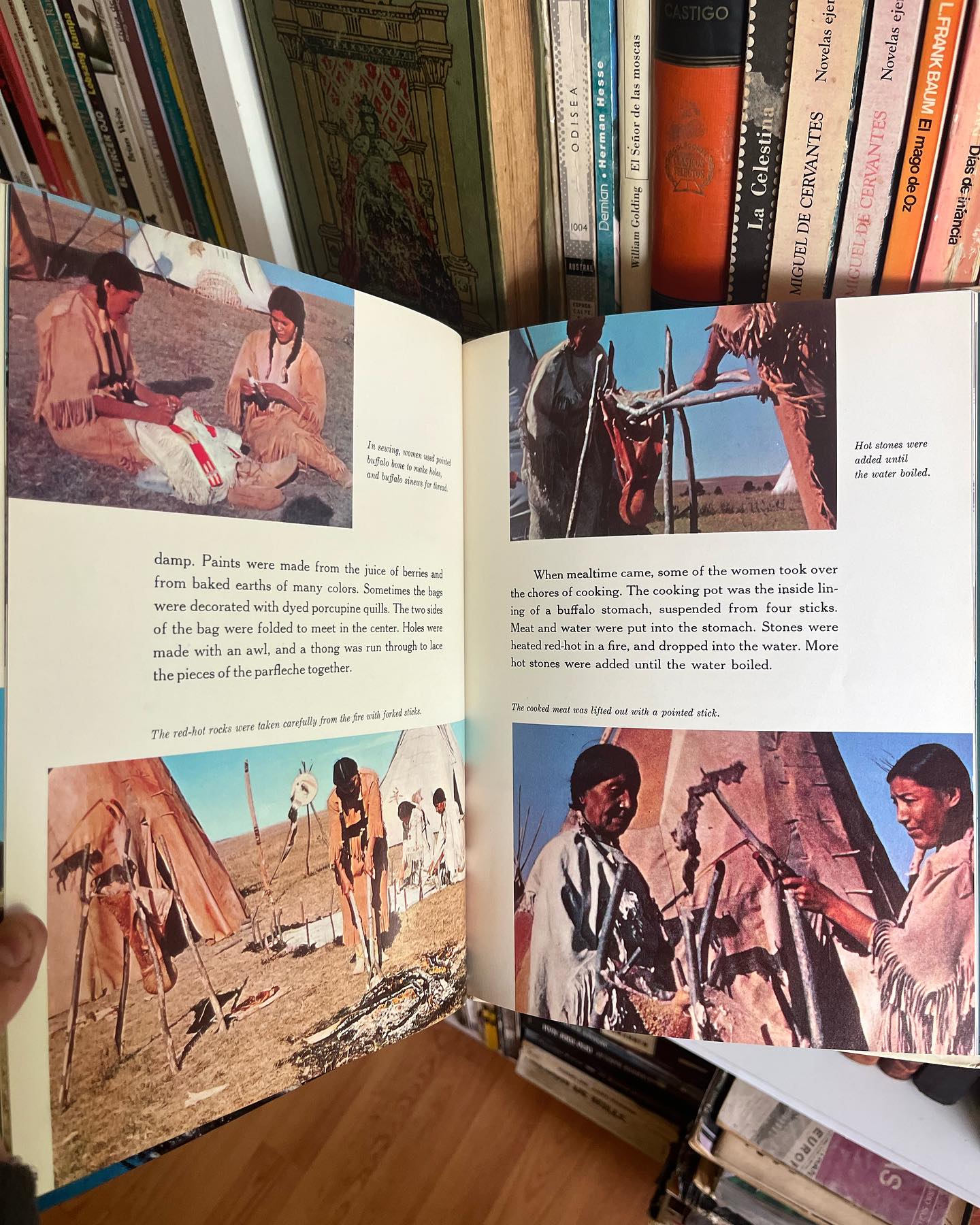 Sioux Buffalo Hunters - Imagen 5
