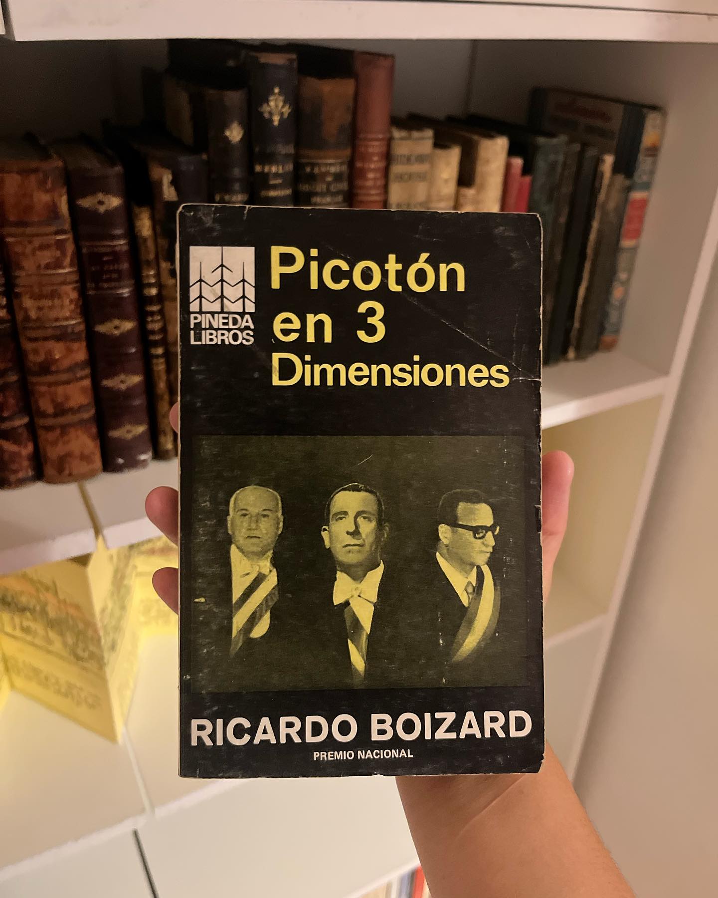 Picotón en 3 dimensiones