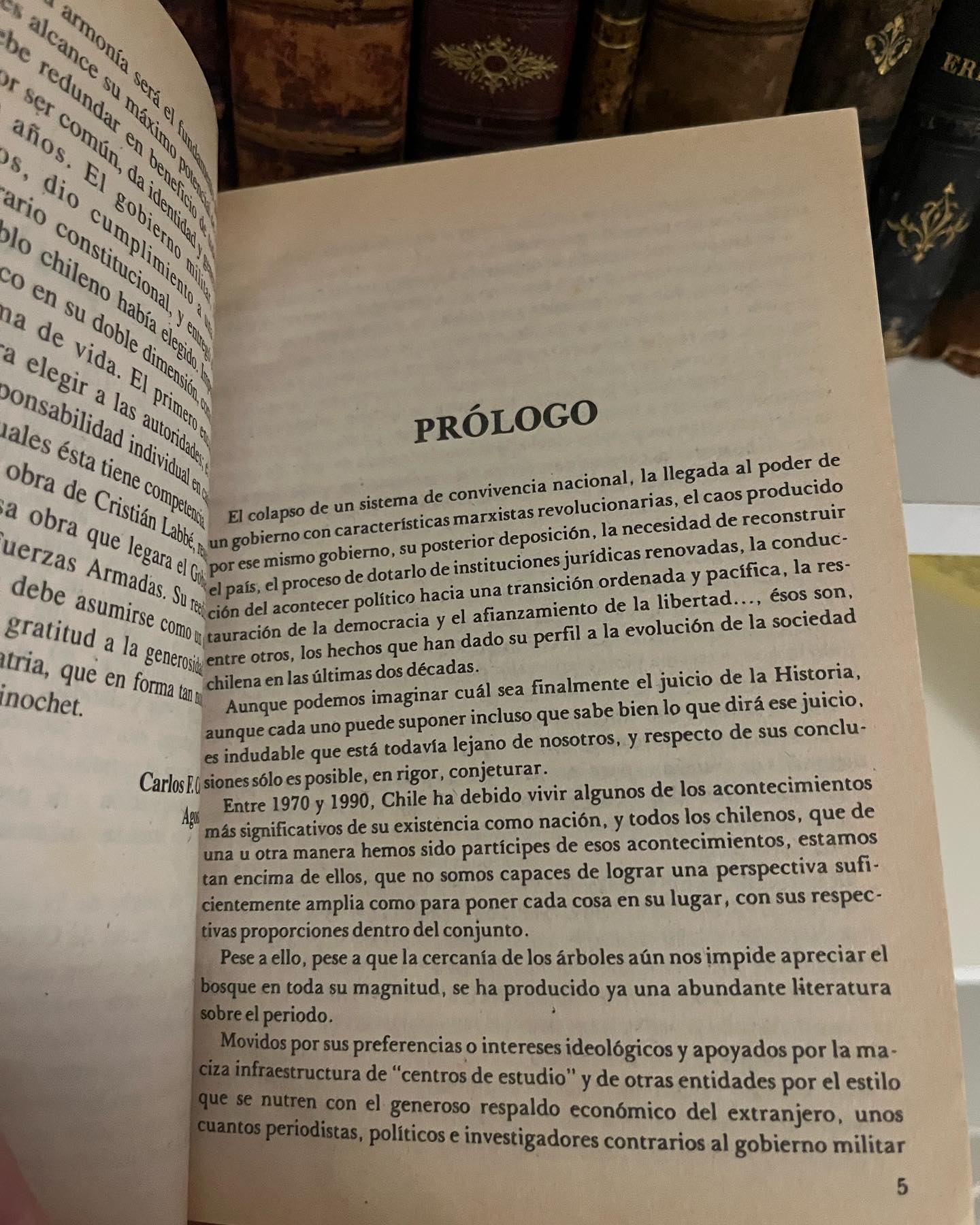El triunfo de Chile - Imagen 6