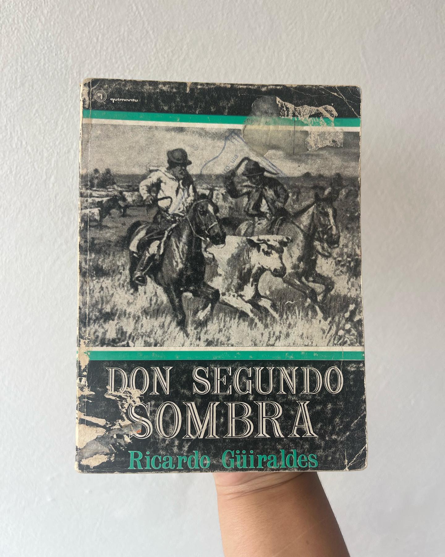 Don Segundo sombra