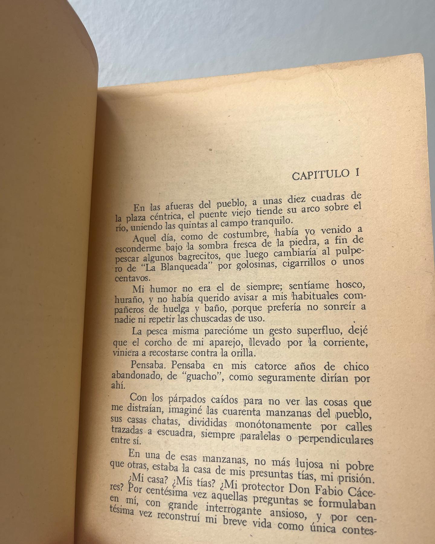 Don Segundo sombra - Imagen 6