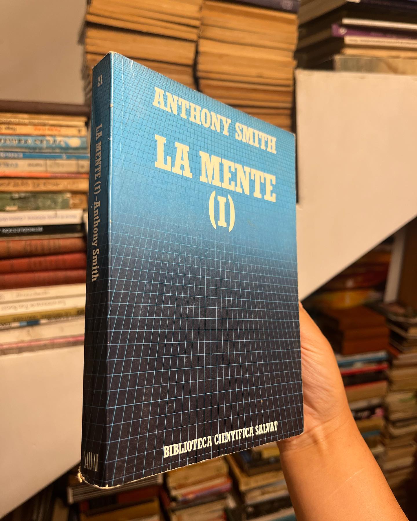 La Mente - Imagen 2
