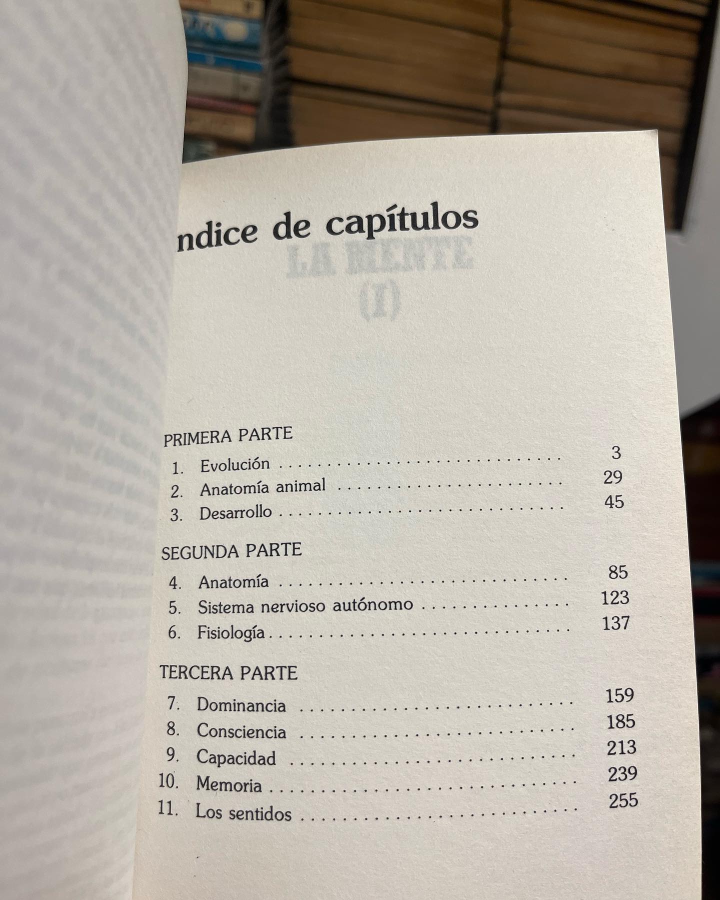 La Mente - Imagen 7