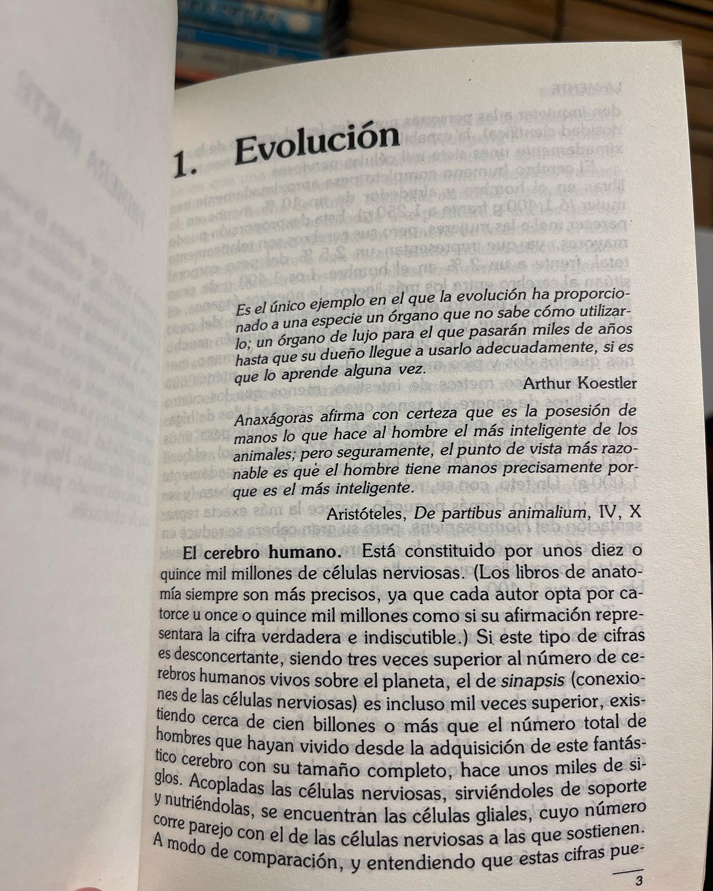 La Mente - Imagen 6