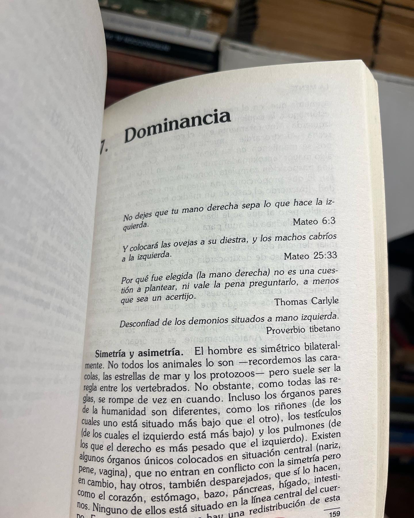 La Mente - Imagen 5